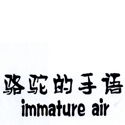 骆驼的手语 IMMATURE AIR