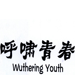 	呼啸青春 WUTHERING YOUTH